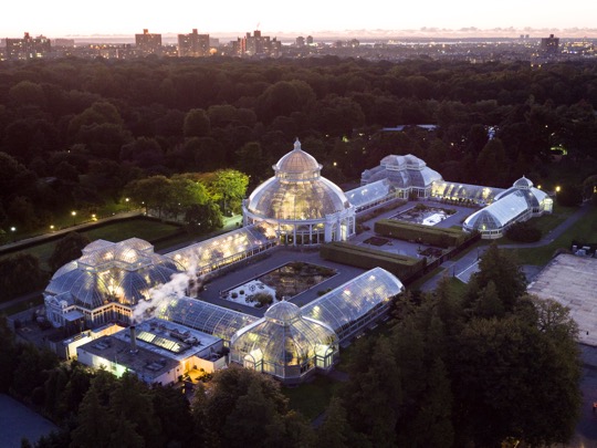 The New York Botanical Garden